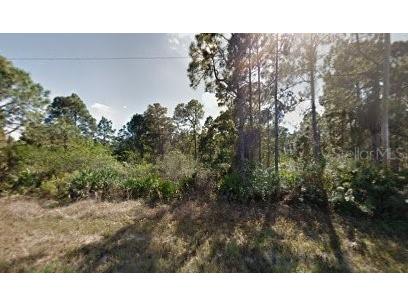 1118 Cove Street E Lehigh Acres FL 33974 O6407017 image2