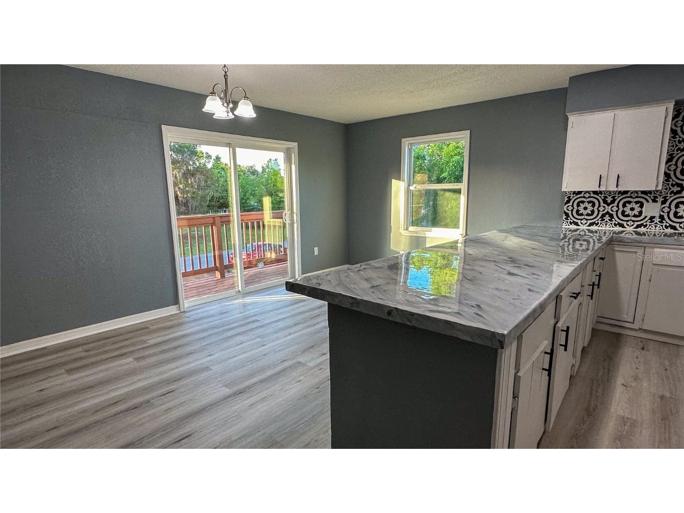 1118 Cr 440 Lake Panasoffkee FL 33538 OM706488 image20