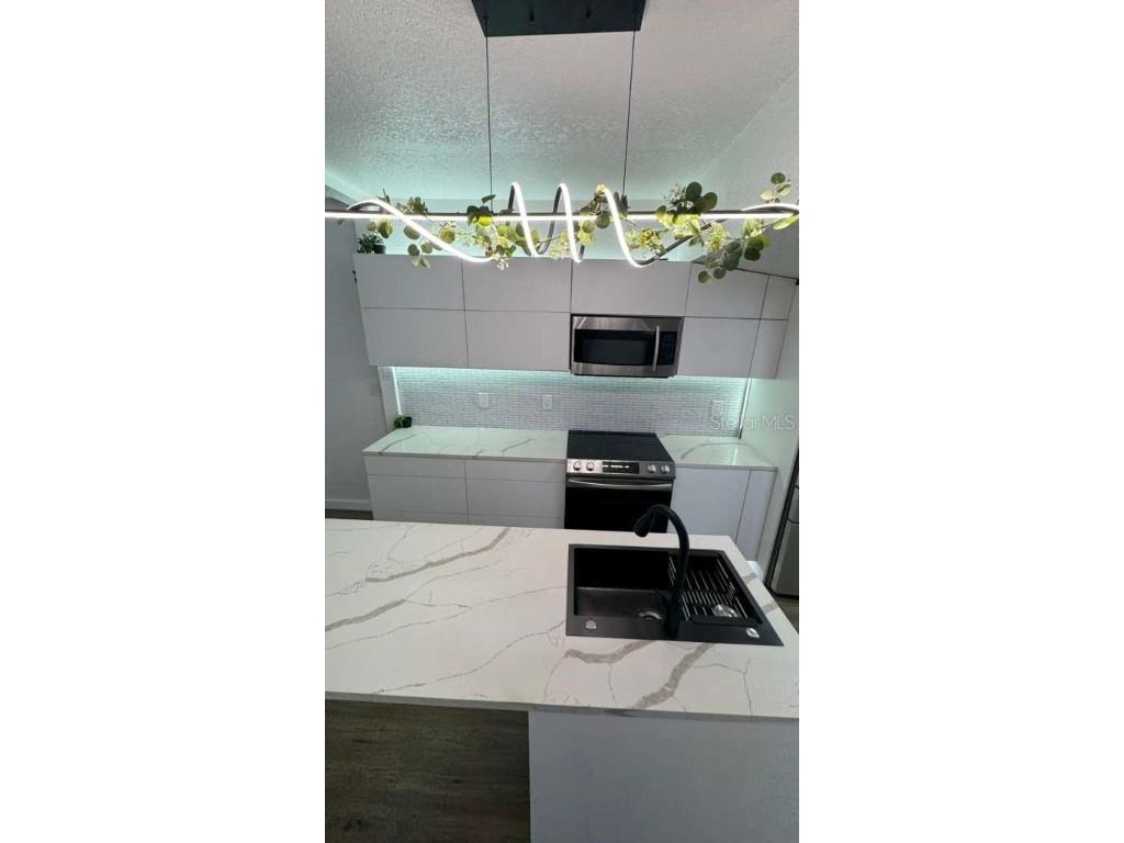 1118 E Linebaugh Avenue Tampa FL 33612 O6362921 image14