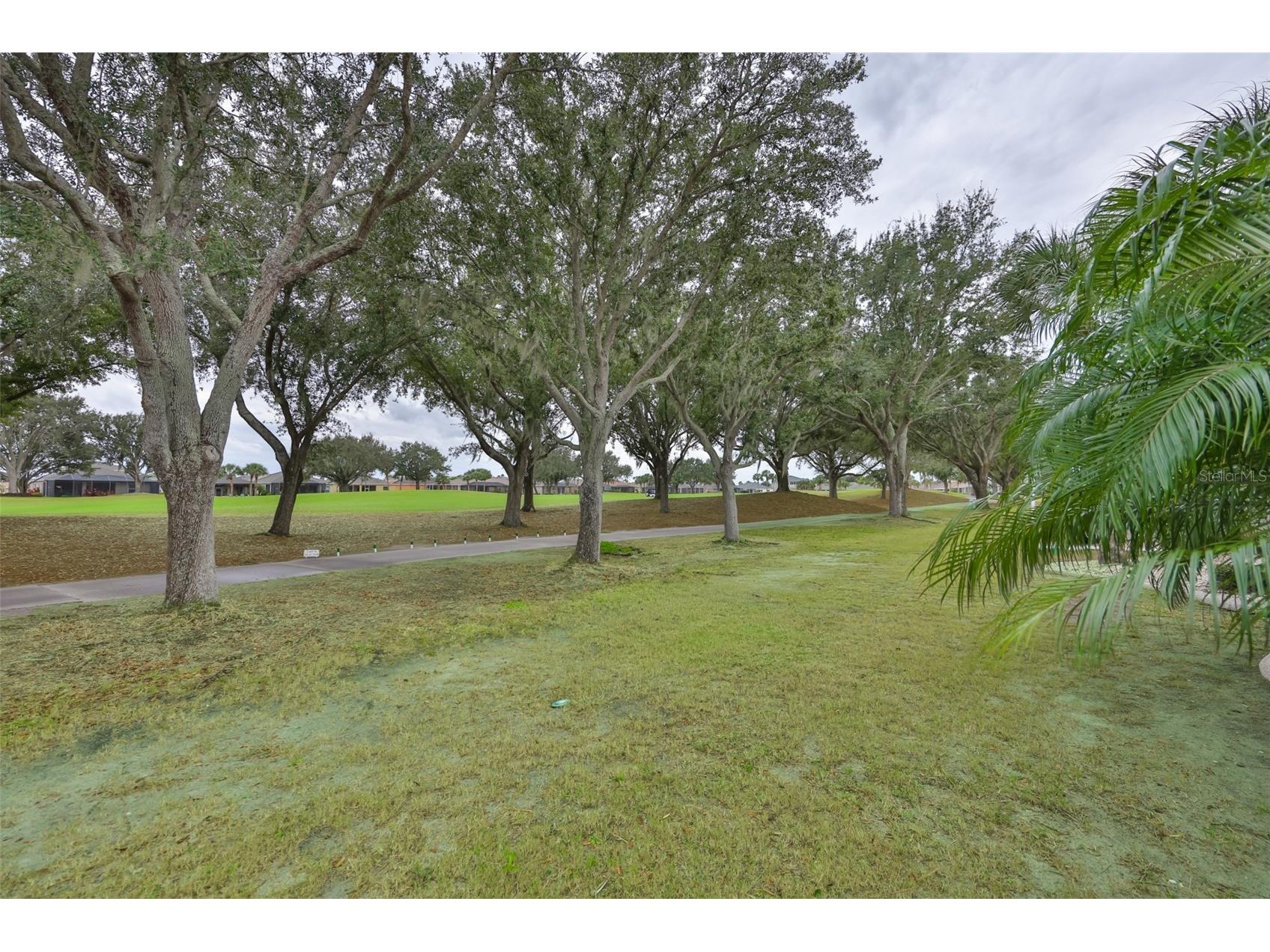 1118 Emerald Dunes Drive Sun City Center FL 33573 TB8465440 image35
