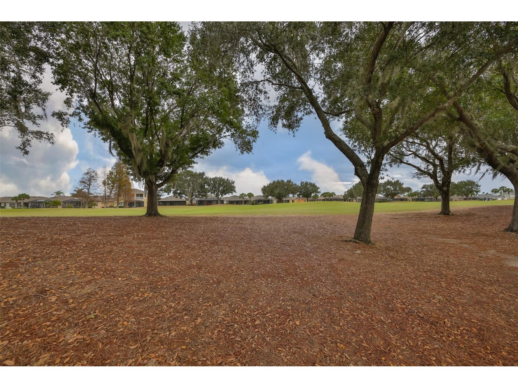 1118 Emerald Dunes Drive Sun City Center FL 33573 TB8465440 image36