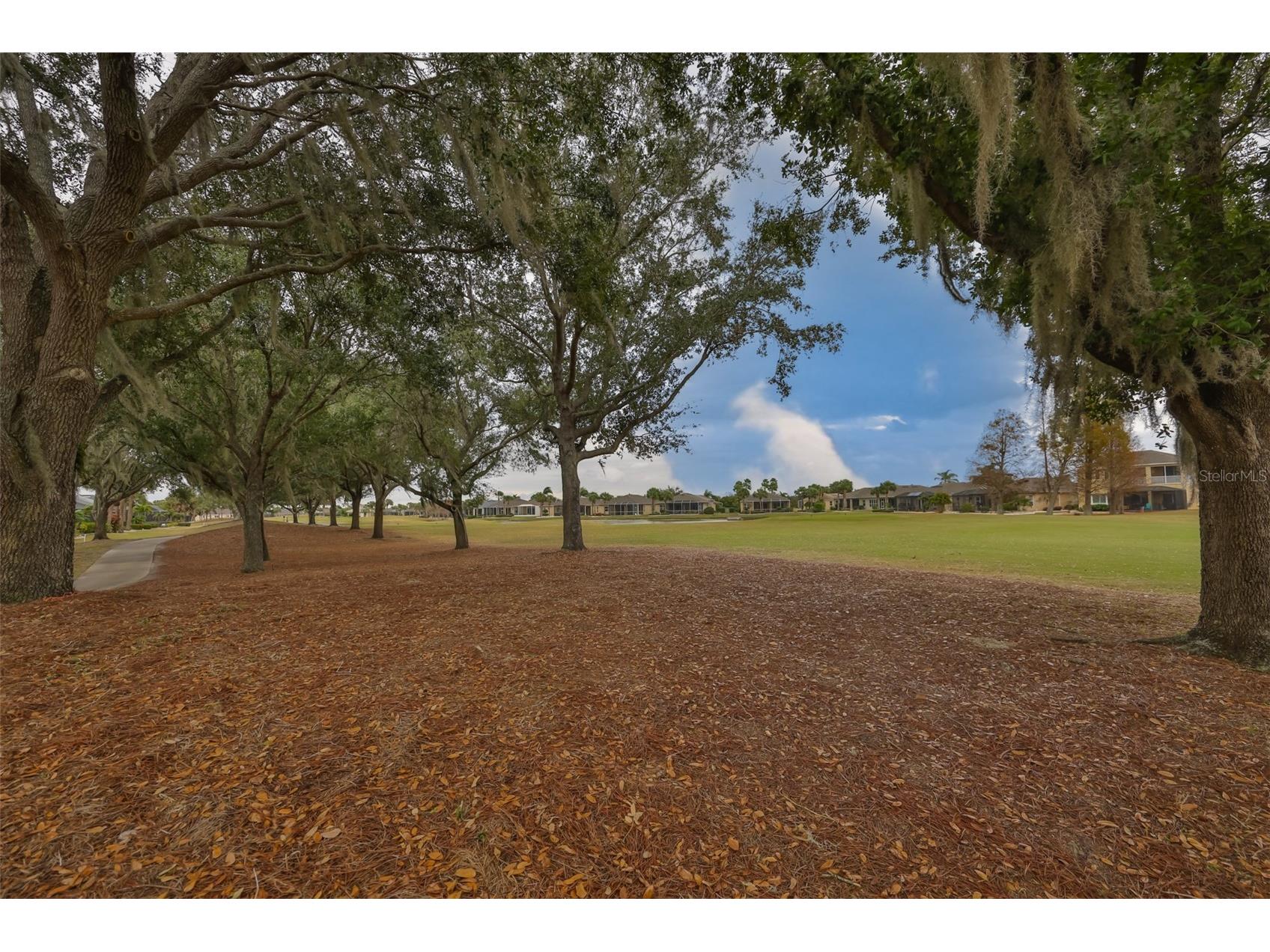 1118 Emerald Dunes Drive Sun City Center FL 33573 TB8465440 image37