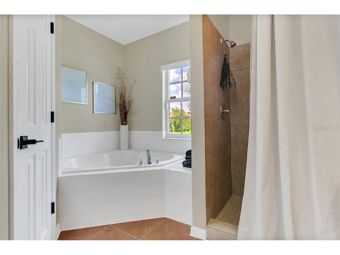 1118 Saint Tropez Ct Kissimmee FL 34759 S5129089 image24