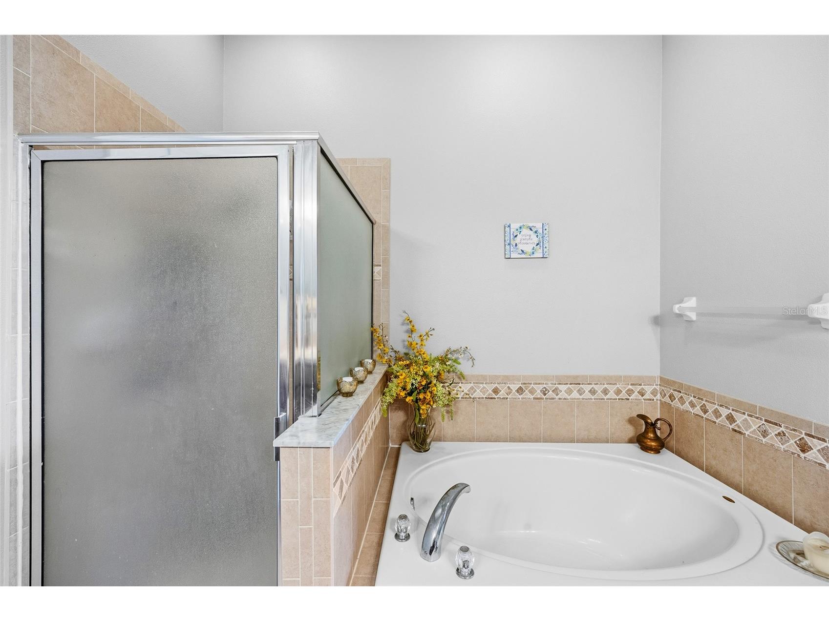 1118 Wright Swynde Court Wesley Chapel FL 33543 TB8471093 image23