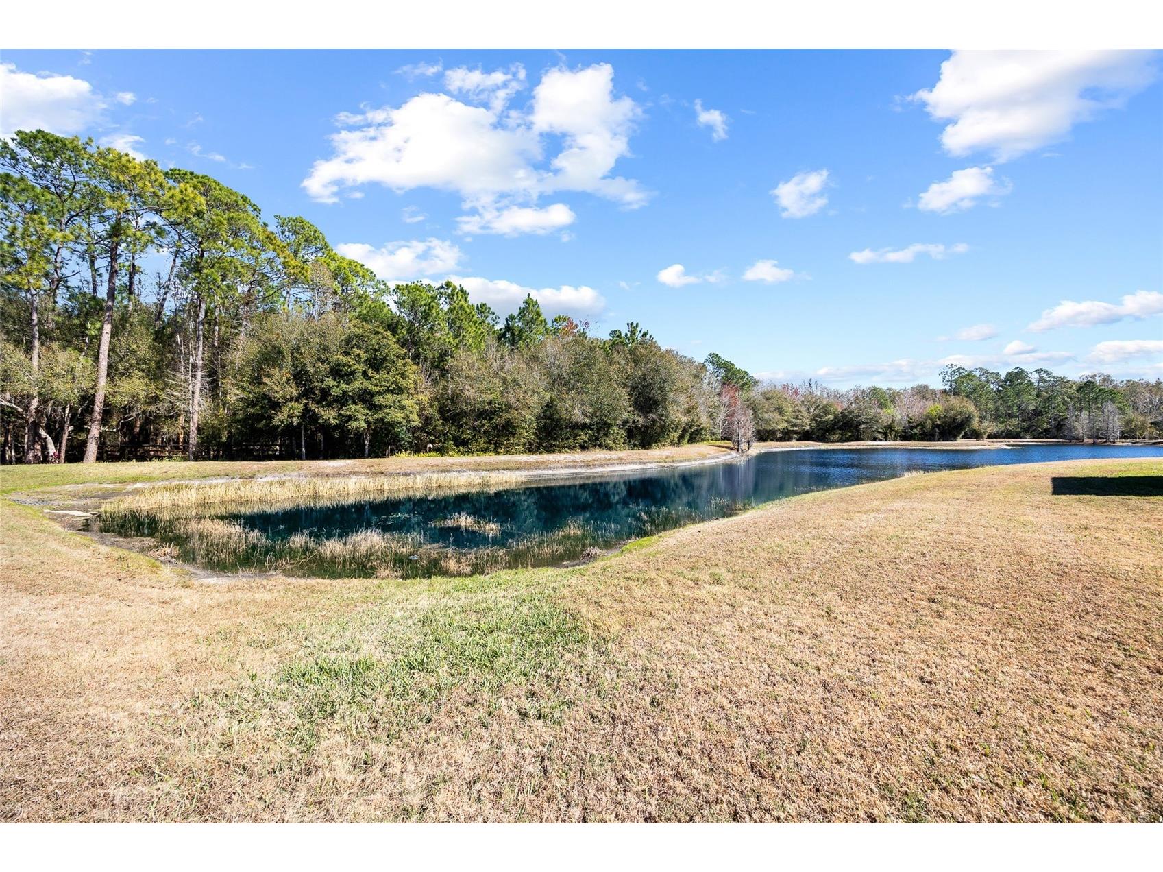 1118 Wright Swynde Court Wesley Chapel FL 33543 TB8471093 image32