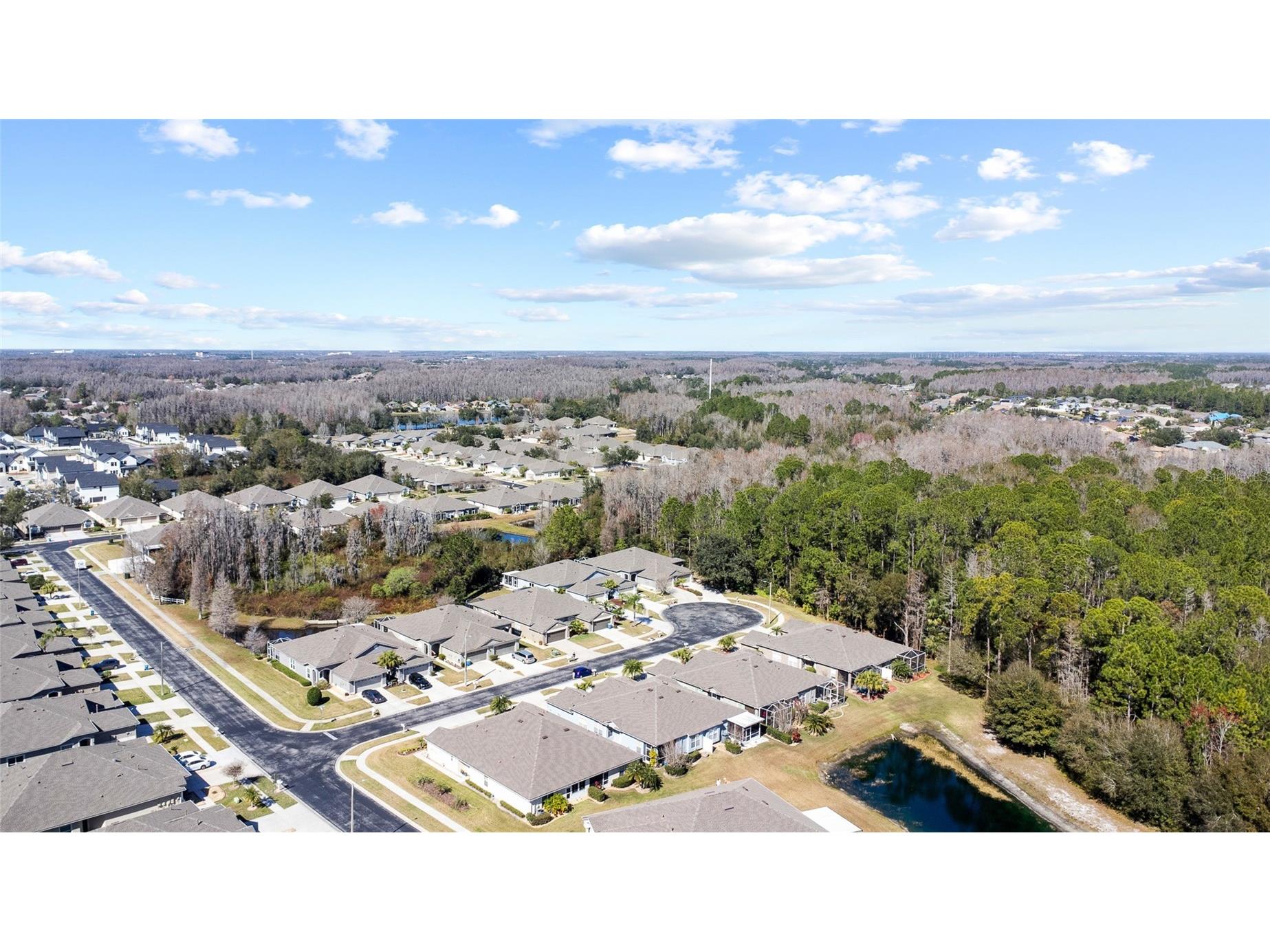 1118 Wright Swynde Court Wesley Chapel FL 33543 TB8471093 image35