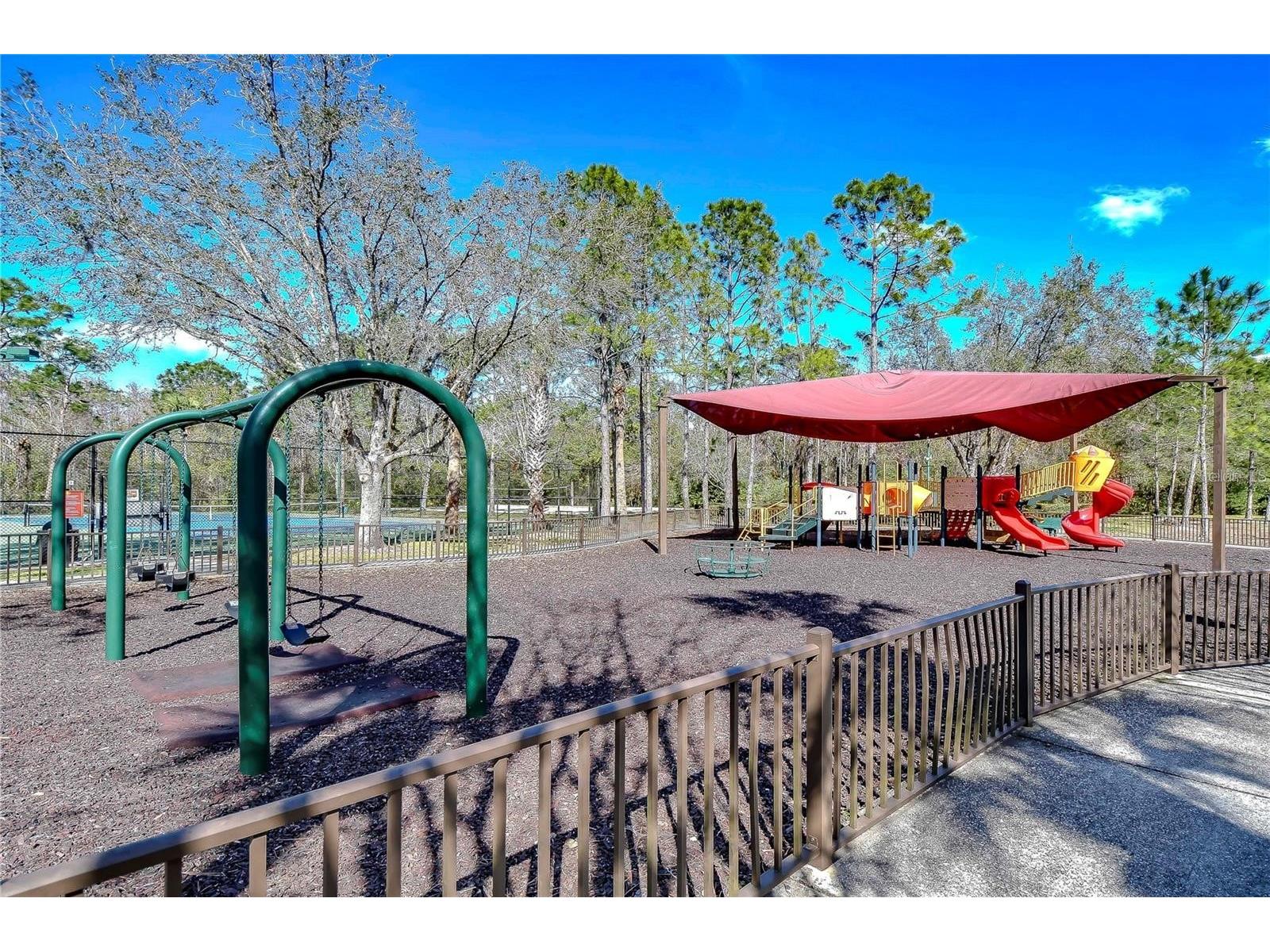1118 Wright Swynde Court Wesley Chapel FL 33543 TB8471093 image41