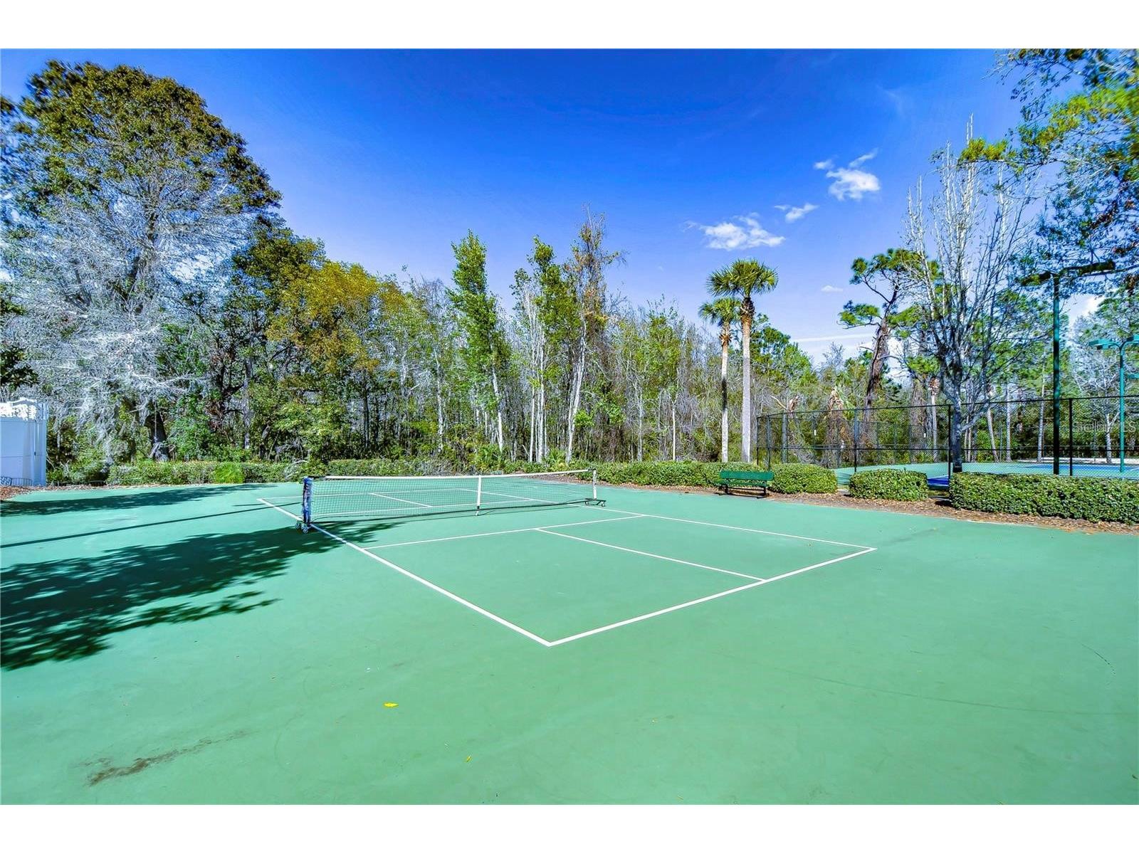 1118 Wright Swynde Court Wesley Chapel FL 33543 TB8471093 image42