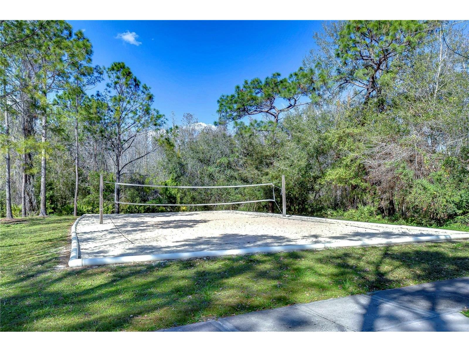 1118 Wright Swynde Court Wesley Chapel FL 33543 TB8471093 image43