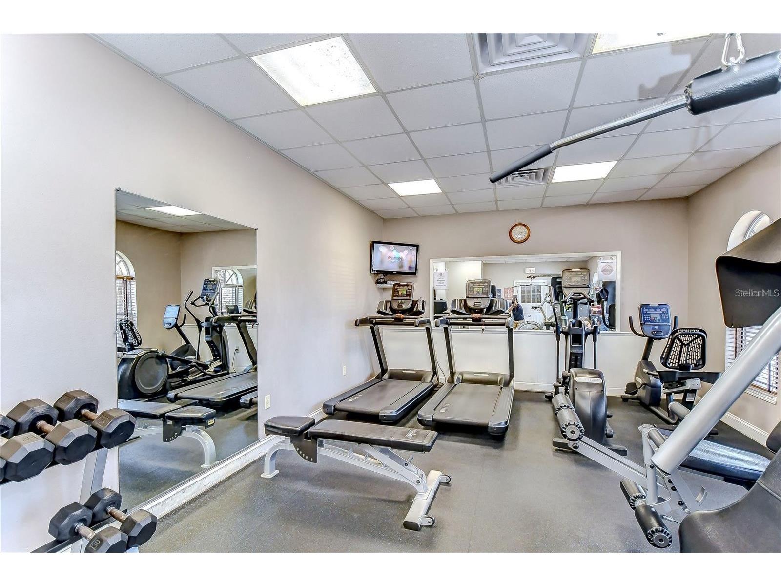 1118 Wright Swynde Court Wesley Chapel FL 33543 TB8471093 image45
