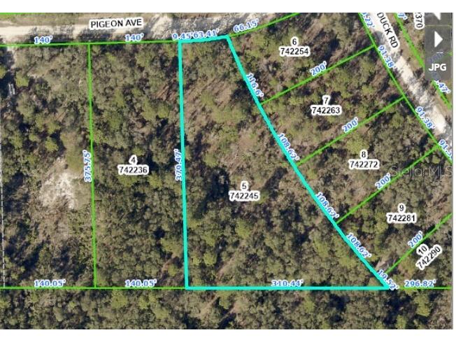 11182 Pigeon Avenue Weeki Wachee FL 34614 W7852645 image1