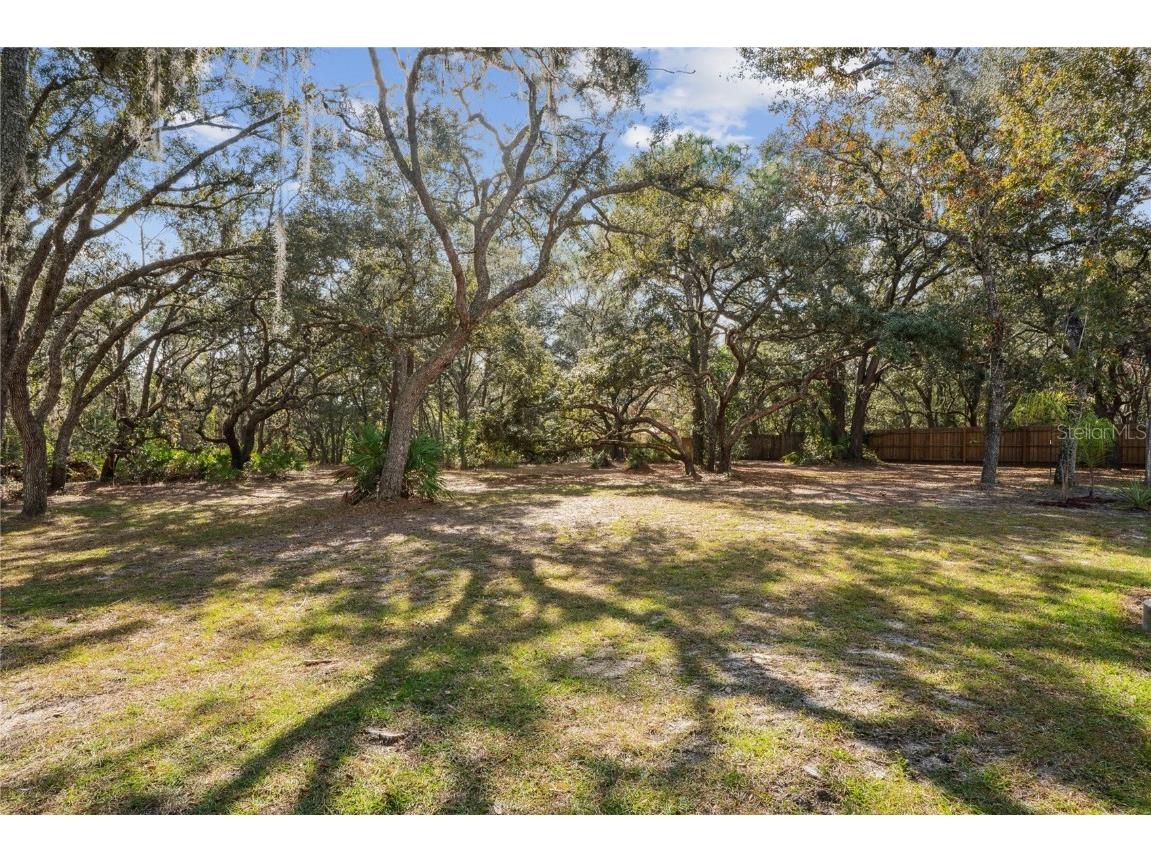 11185 Cleever Street Weeki Wachee FL 34614 W7881024 image45