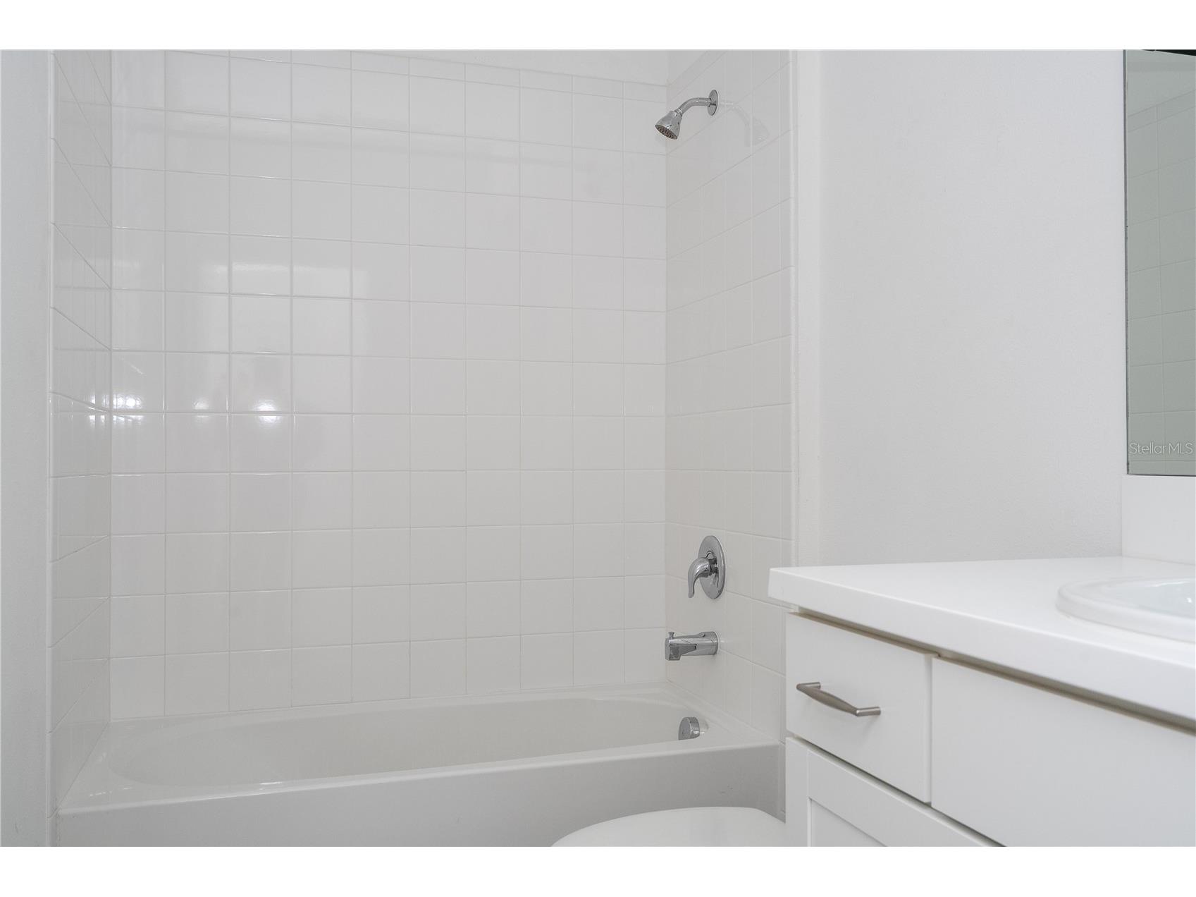 11187 Hanlon Terrace Alley Winter Garden FL 34787 O6380981 image49