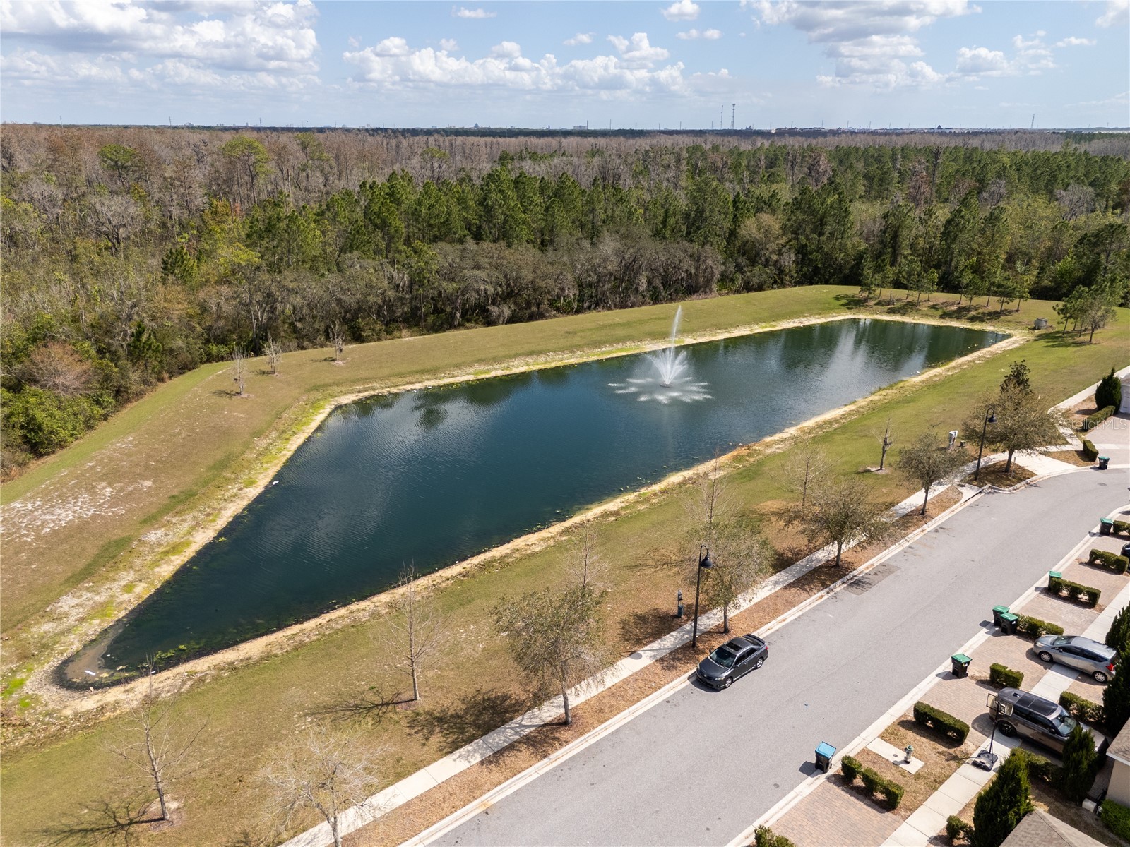 11187 Hanlon Terrace Alley Winter Garden FL 34787 O6380981 image63