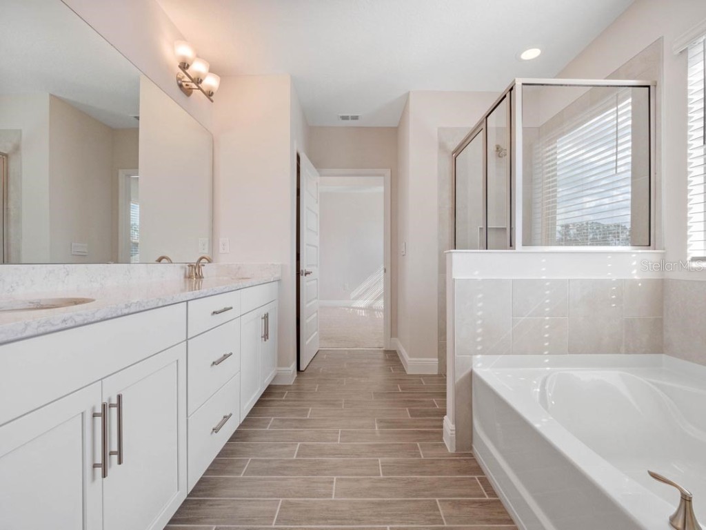 11187 Hollow Bay Drive Winter Garden FL 34787 O6372260 image26