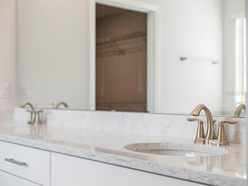 11187 Hollow Bay Drive Winter Garden FL 34787 O6372260 image27