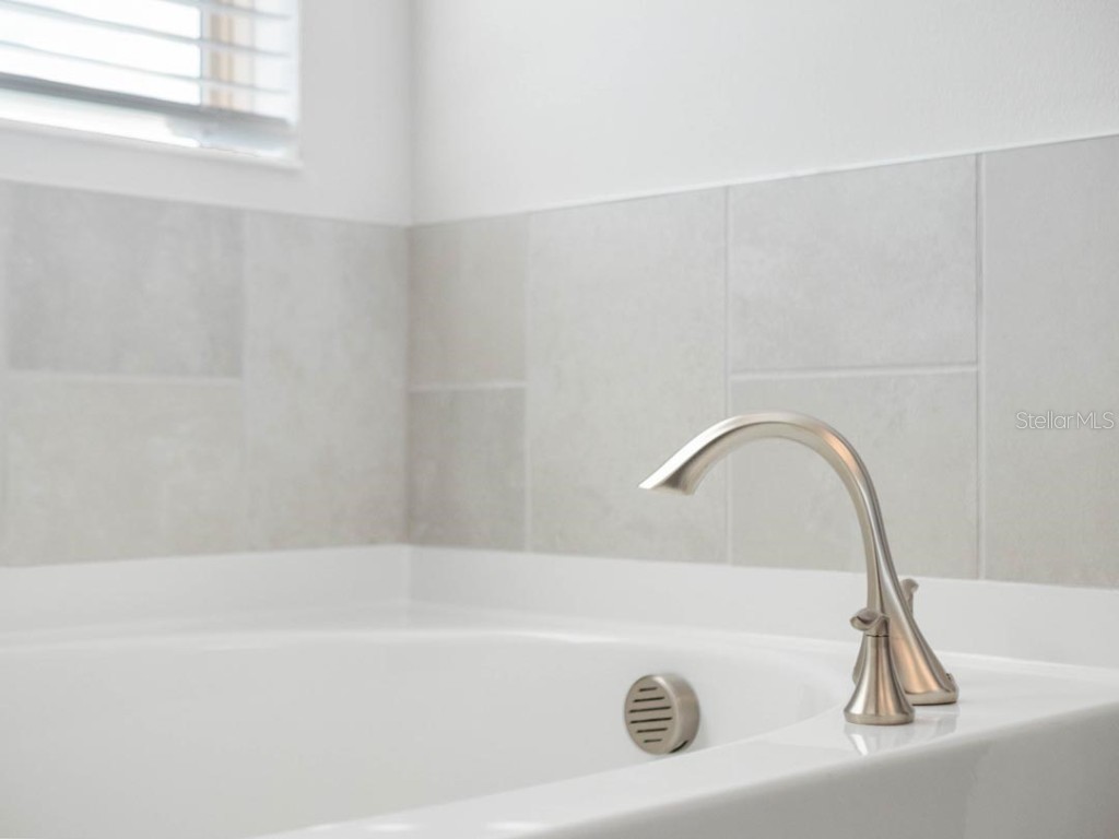 11187 Hollow Bay Drive Winter Garden FL 34787 O6372260 image28