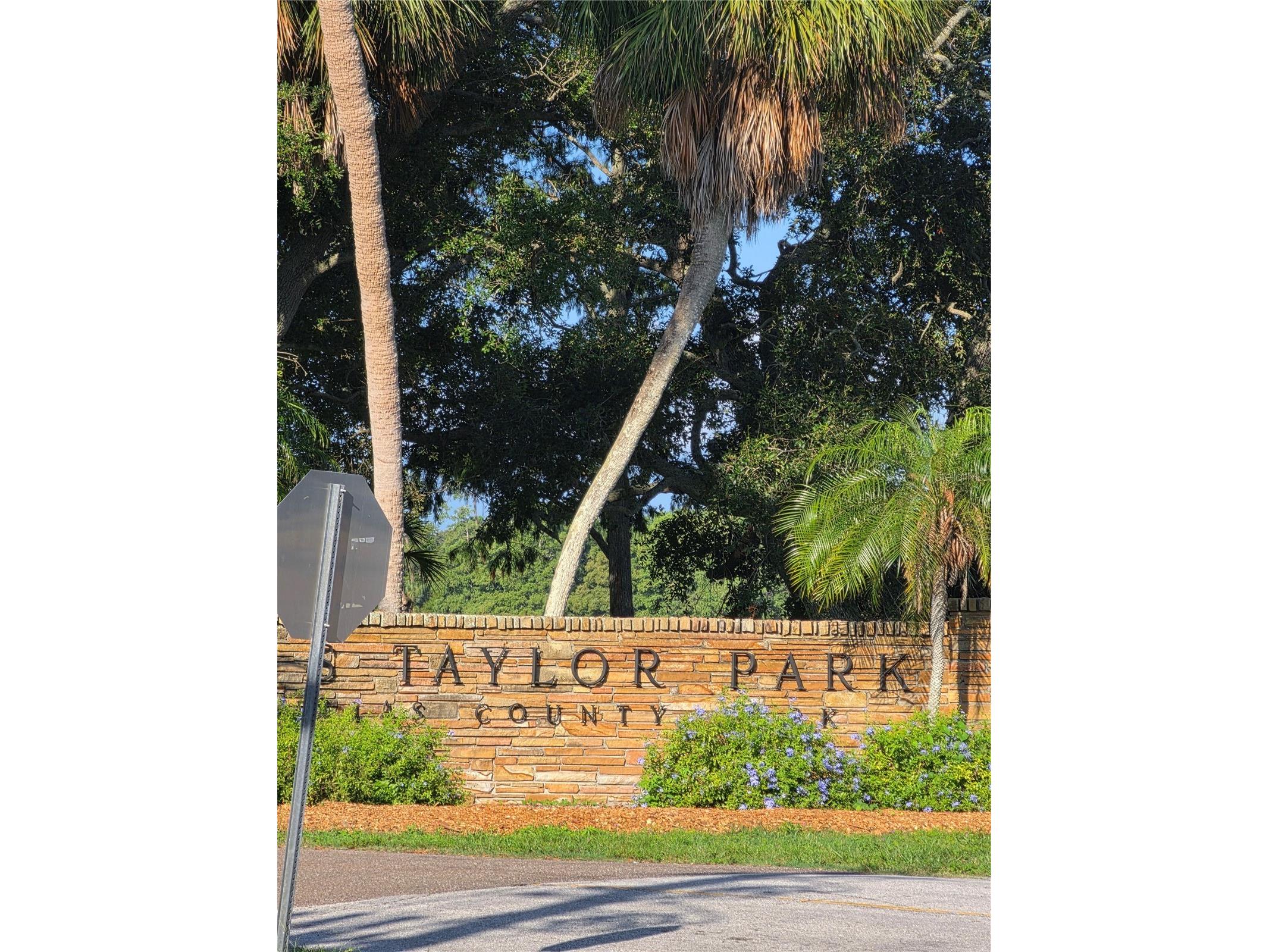 1119 17th Avenue SW Largo FL 33778 TB8527625 image25