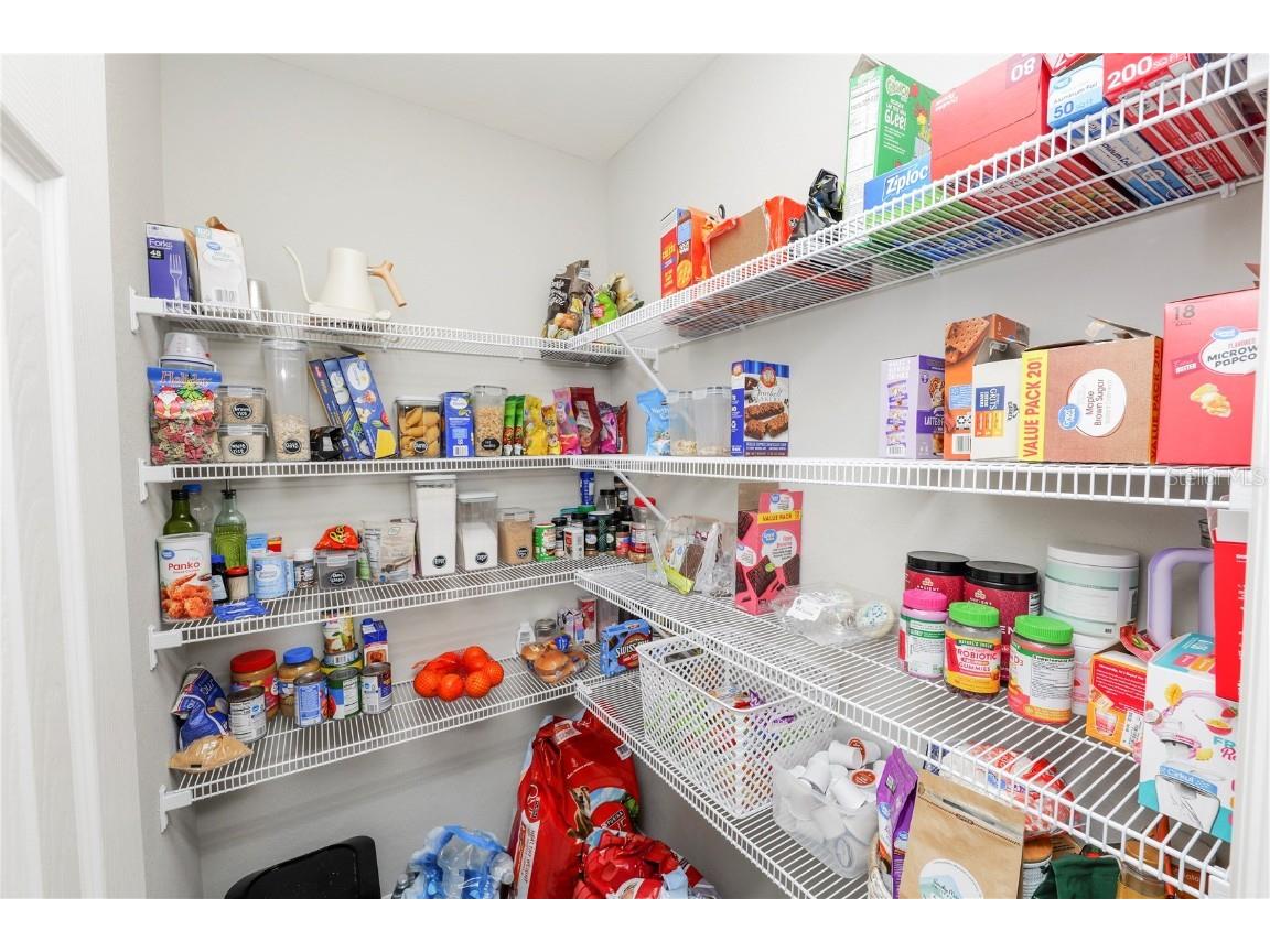 1119 Aruba Avenue Mulberry FL 33860 L4957854 image26