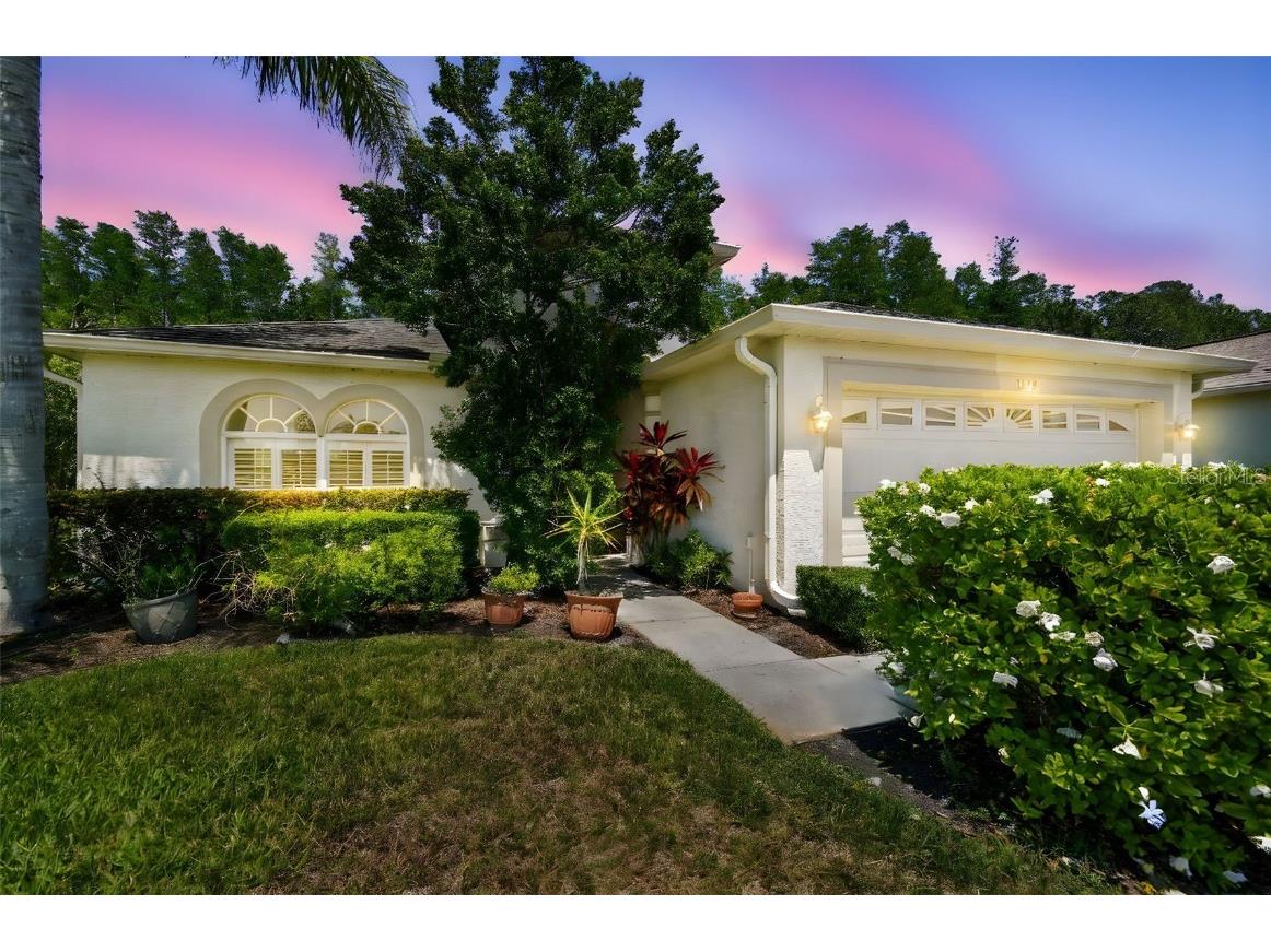 1119 Dustan Place Trinity FL 34655 W7875037 image1