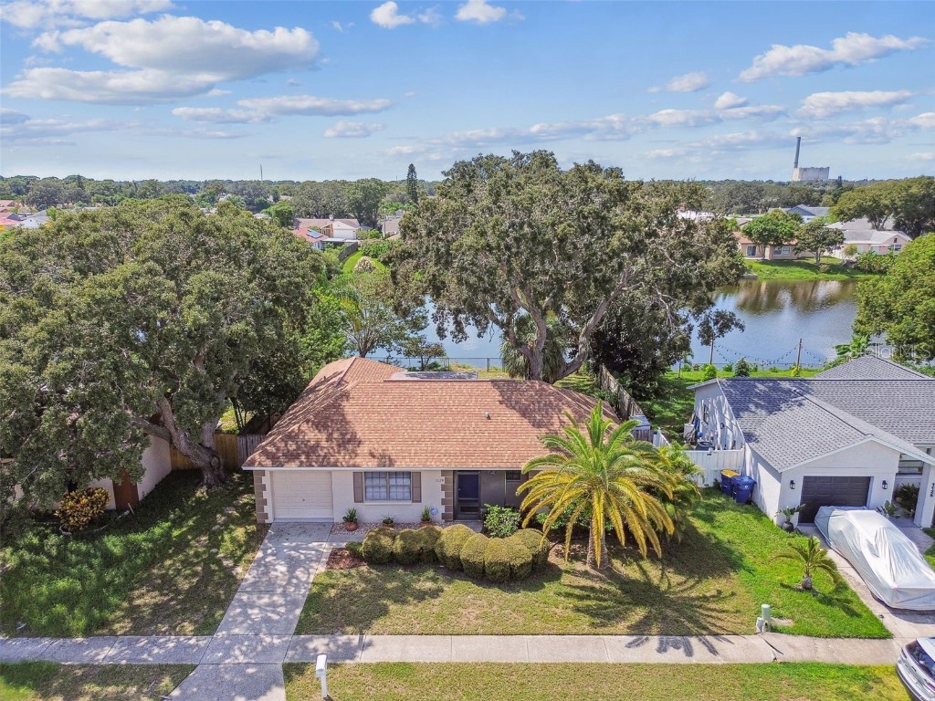 1119 Mandarin Drive Holiday FL 34691 T3549328 image1