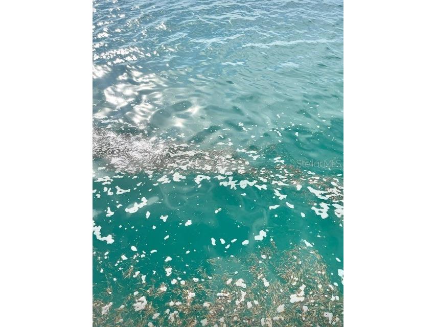 1119 Simonton Street #A1 A2 C1 Key West FL 33040 W7882659 image51