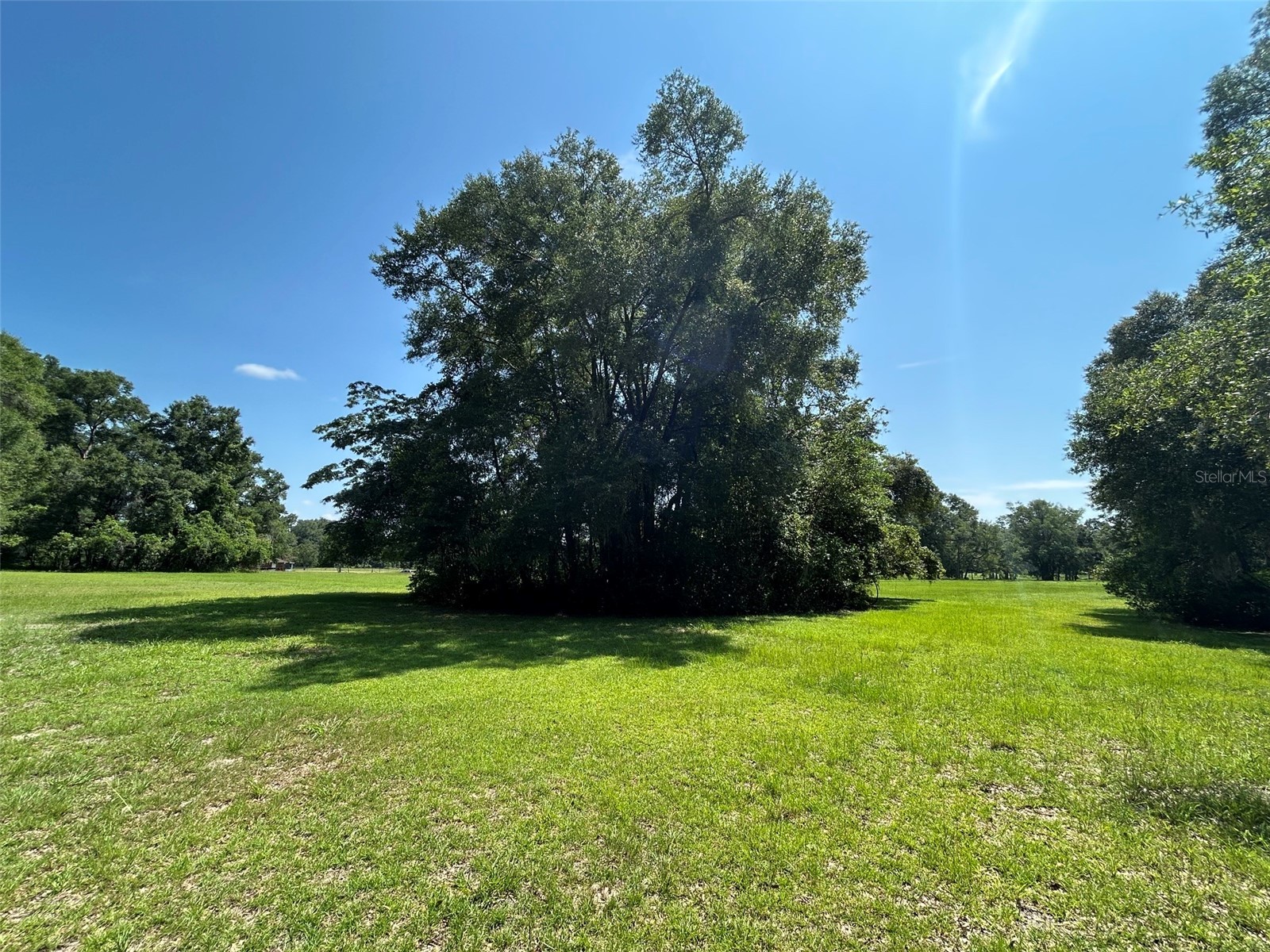 1119 SW 143rd Street Newberry FL 32669 GC540731 image13