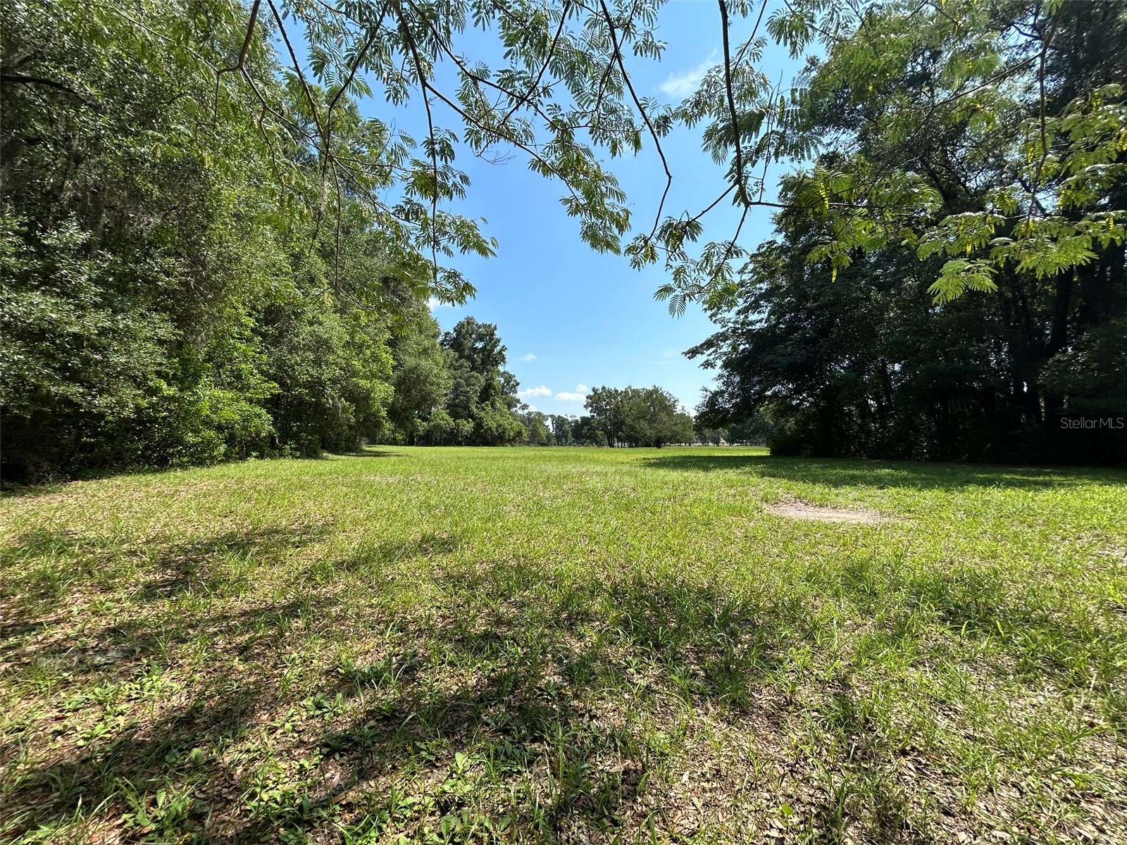 1119 SW 143rd Street Newberry FL 32669 GC540731 image15