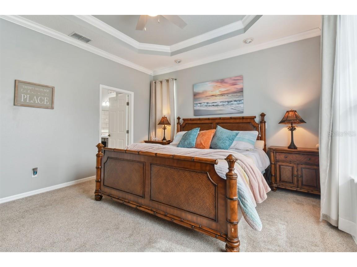 1119 Villeroy Drive Sun City Center FL 33573 T3551435 image16