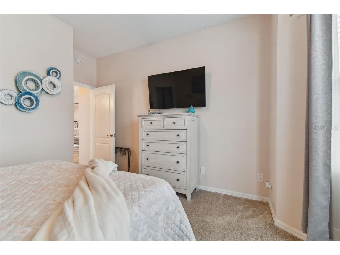 1119 Villeroy Drive Sun City Center FL 33573 T3551435 image35