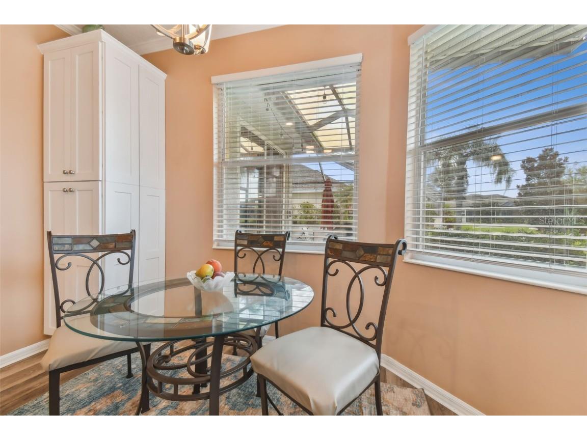 1119 Villeroy Drive Sun City Center FL 33573 T3551435 image48