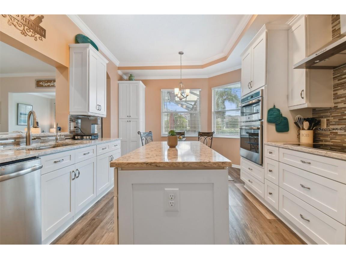 1119 Villeroy Drive Sun City Center FL 33573 T3551435 image50