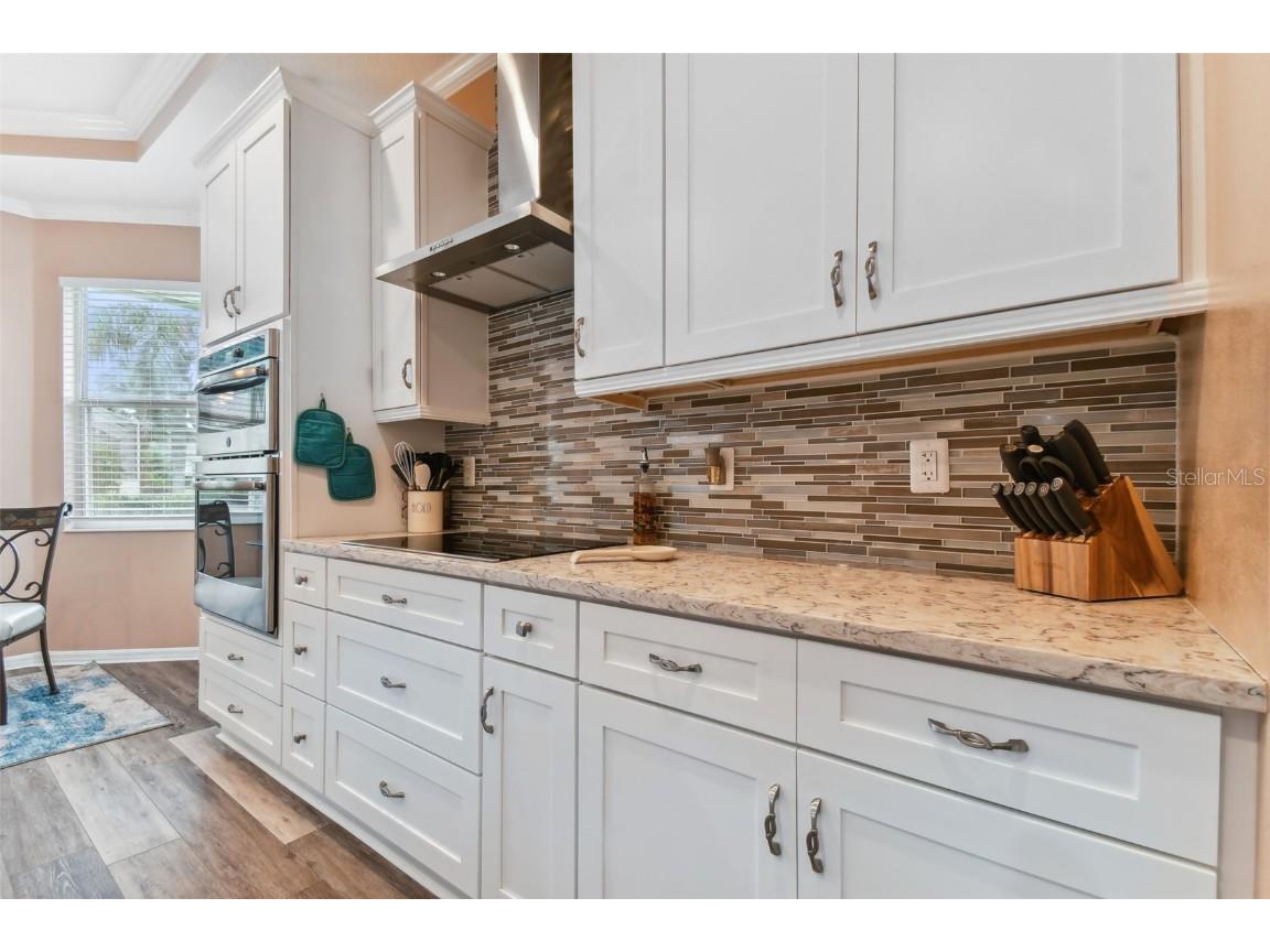 1119 Villeroy Drive Sun City Center FL 33573 T3551435 image51