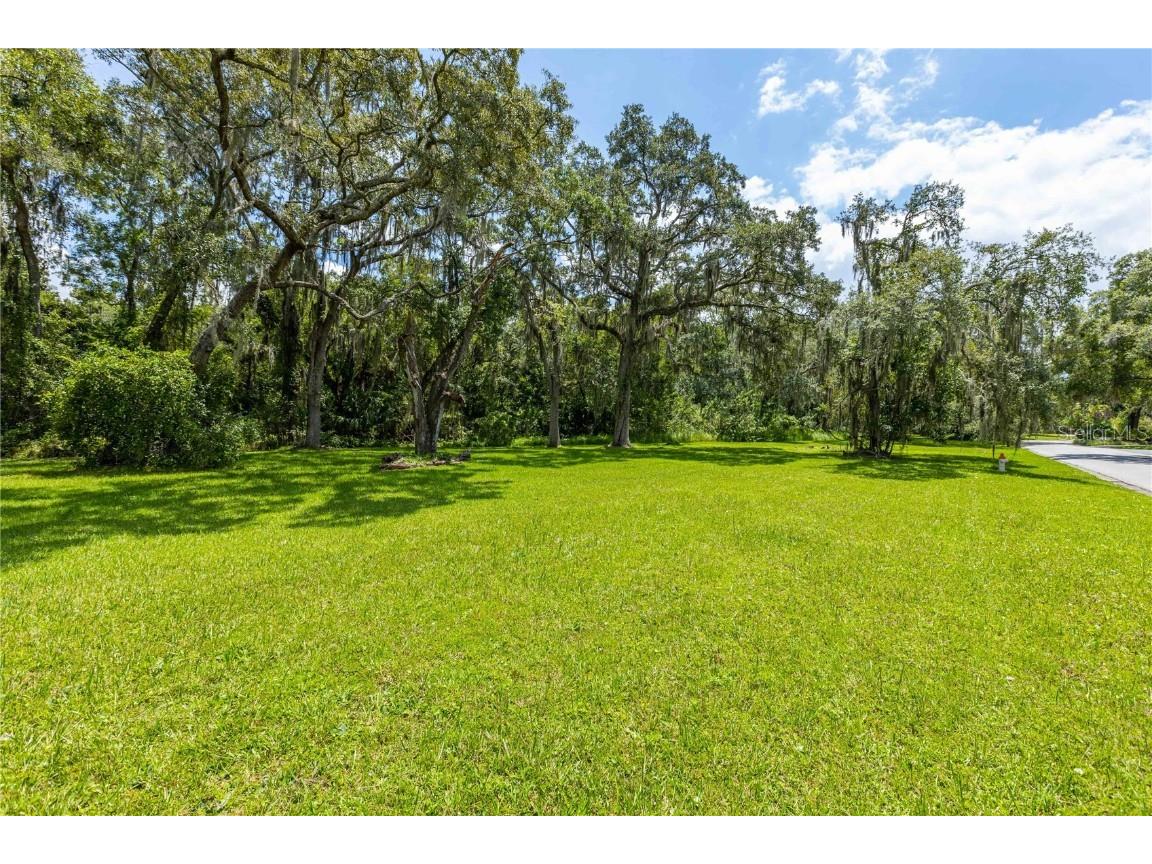 1119 W River Drive Temple Terrace FL 33617 - HILLSBOROUGH RIVER T3396130 image1