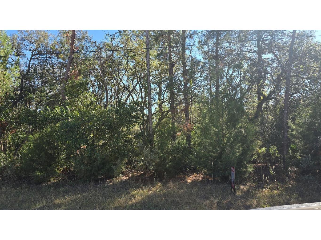 11190 Cleever Street Brooksville FL 34614 TB8323629 image1