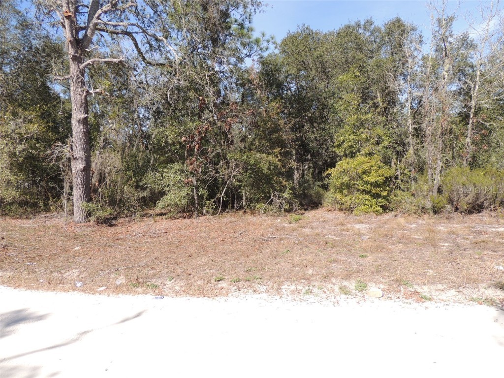 11191 NE 70th Street Bronson FL 32621 OM671750 image1