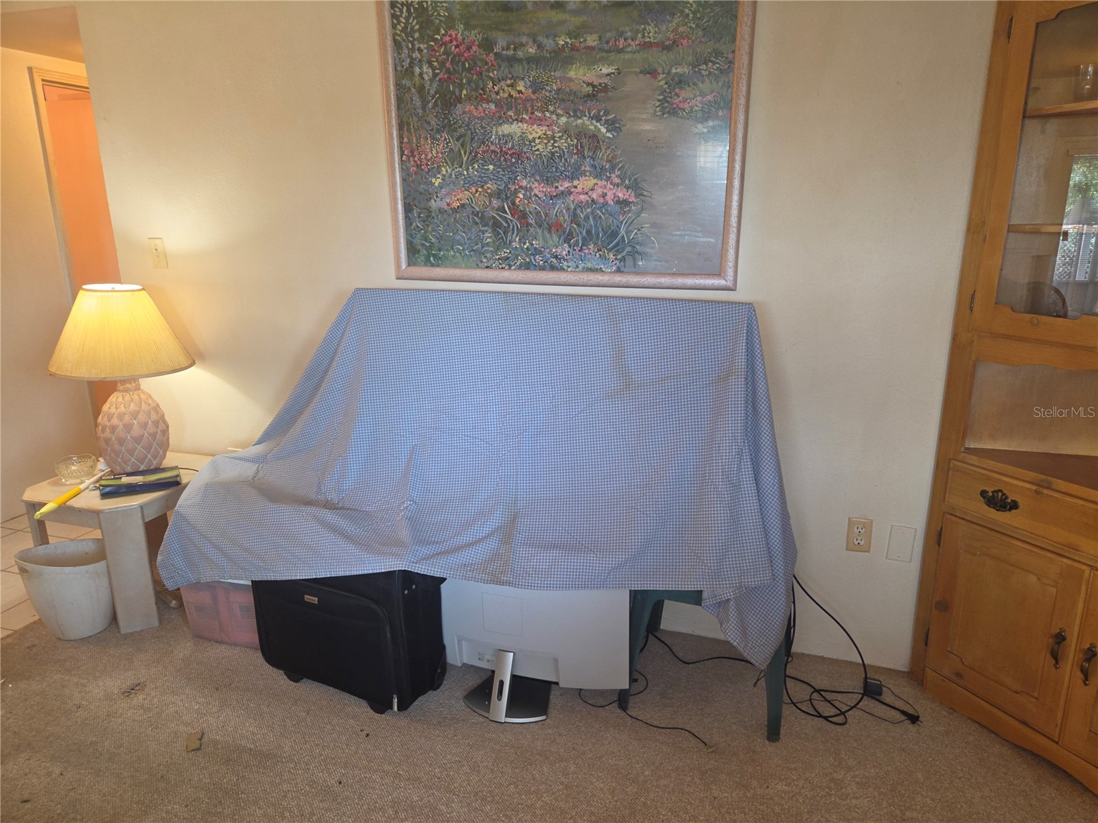 11192 3rd Avenue Punta Gorda FL 33955 P4939150 image45
