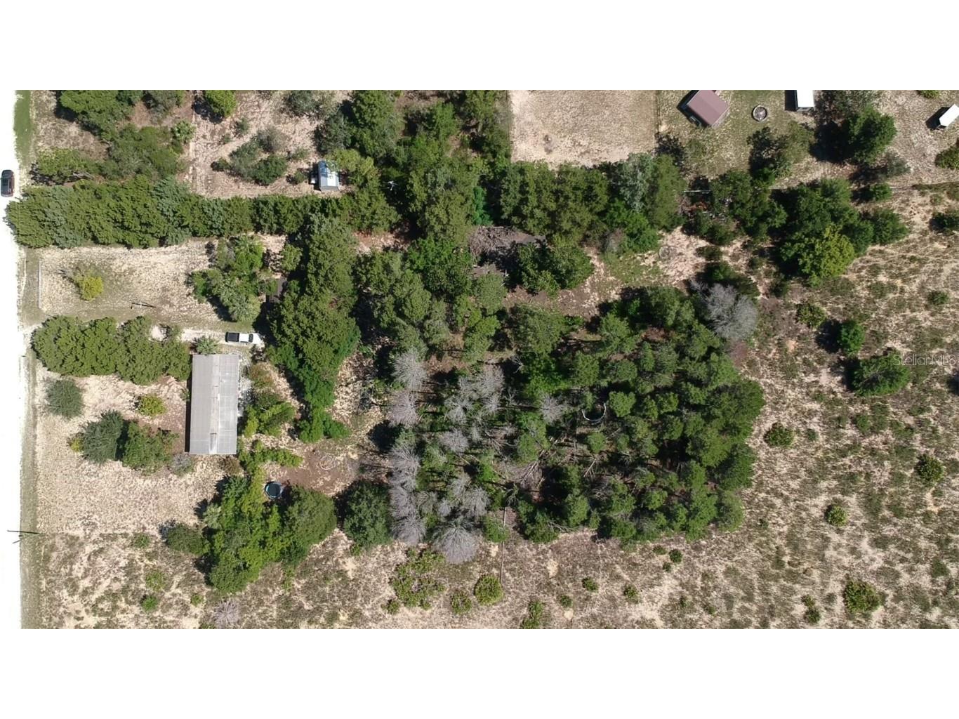 11192 Wren Road Weeki Wachee FL 34614 W7877666 image2