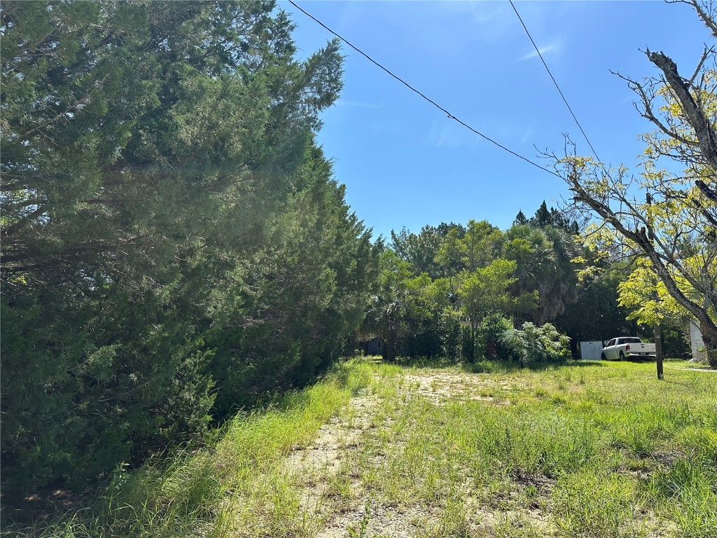 11192 Wren Road Weeki Wachee FL 34614 W7877666 image4