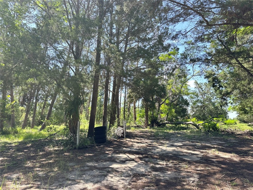 11192 Wren Road Weeki Wachee FL 34614 W7877666 image7