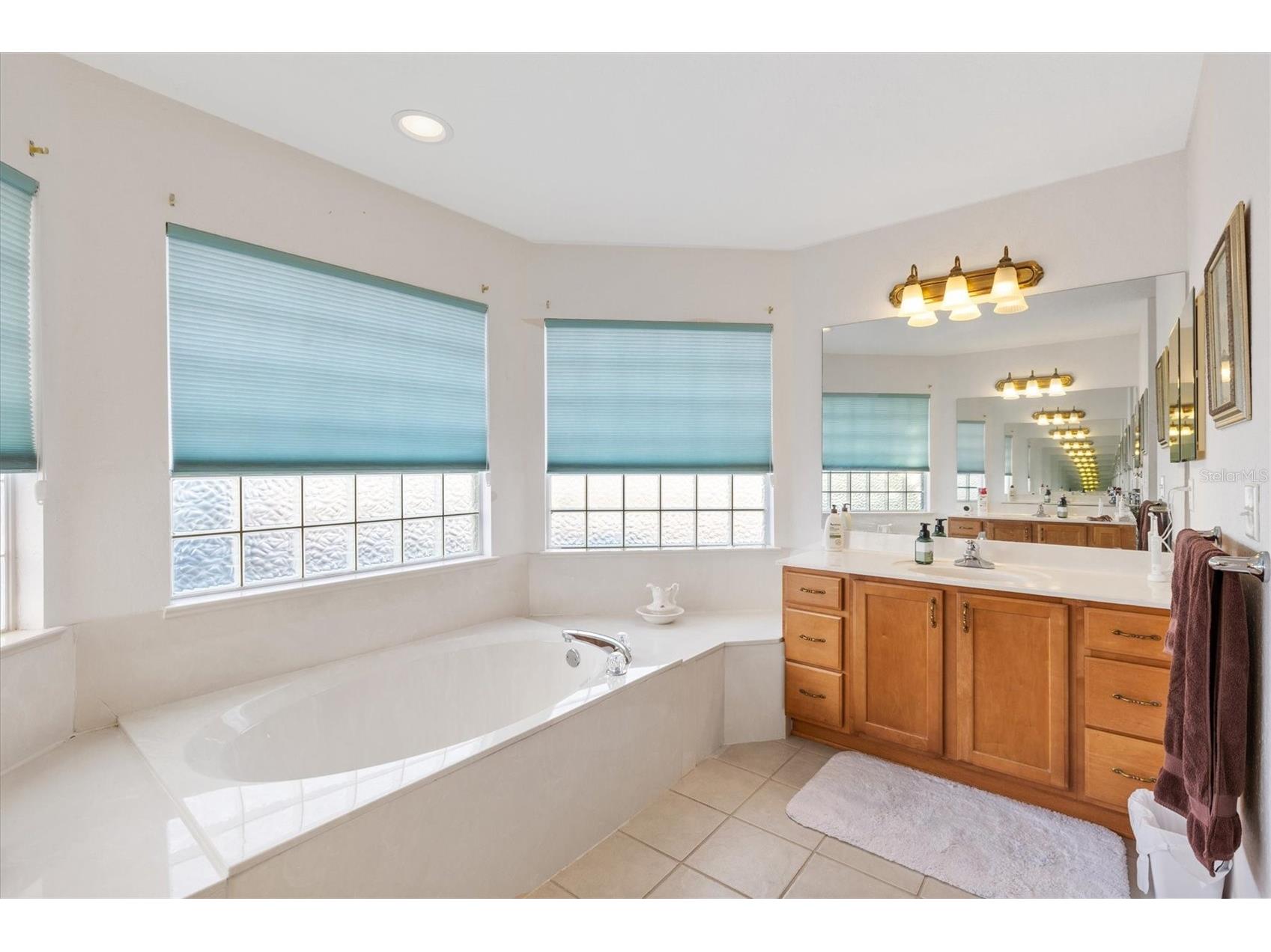 11193 SE 173rd Place Summerfield FL 34491 OM716182 image18
