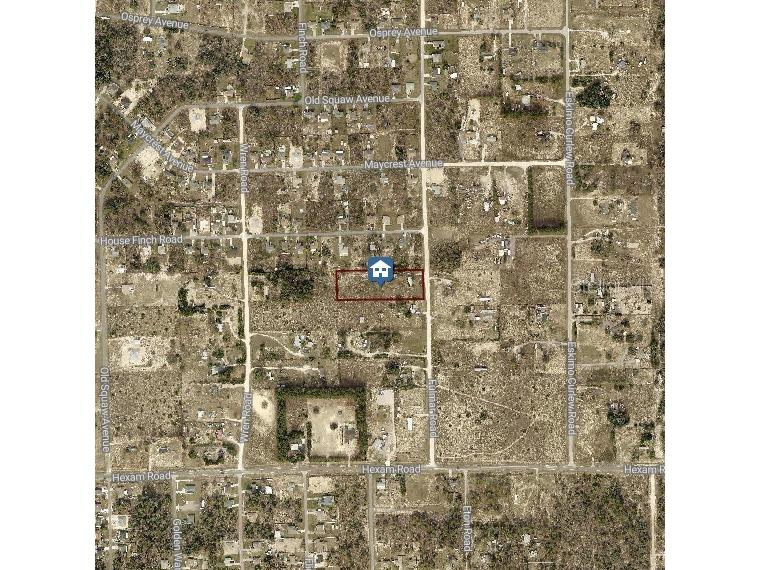 11195 Fulmar Road Brooksville FL 34614 W7883321 image3
