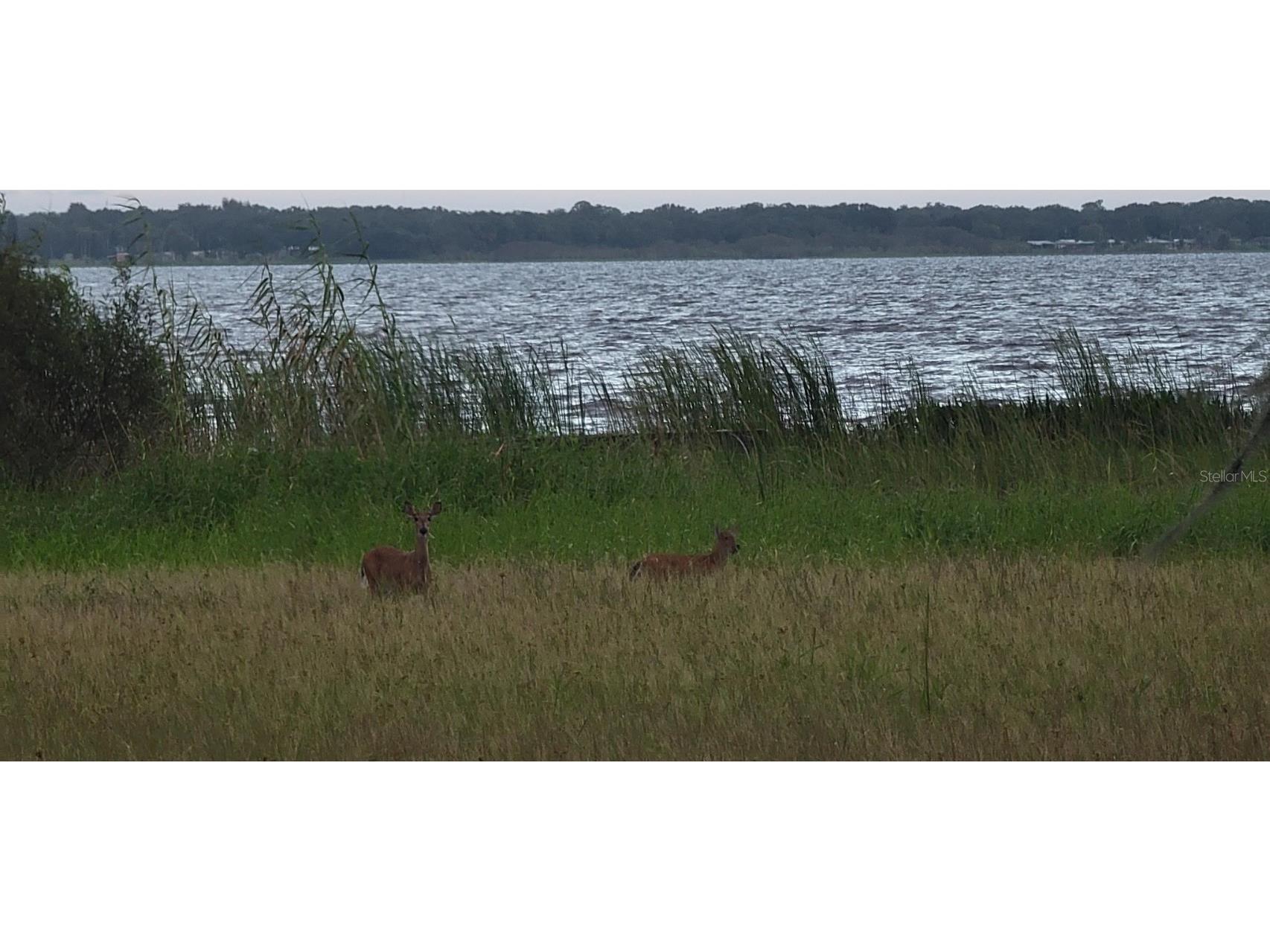 11196 Shore Drive Lake Wales FL 33898 - LAKE ROSALIE K4903114 image16