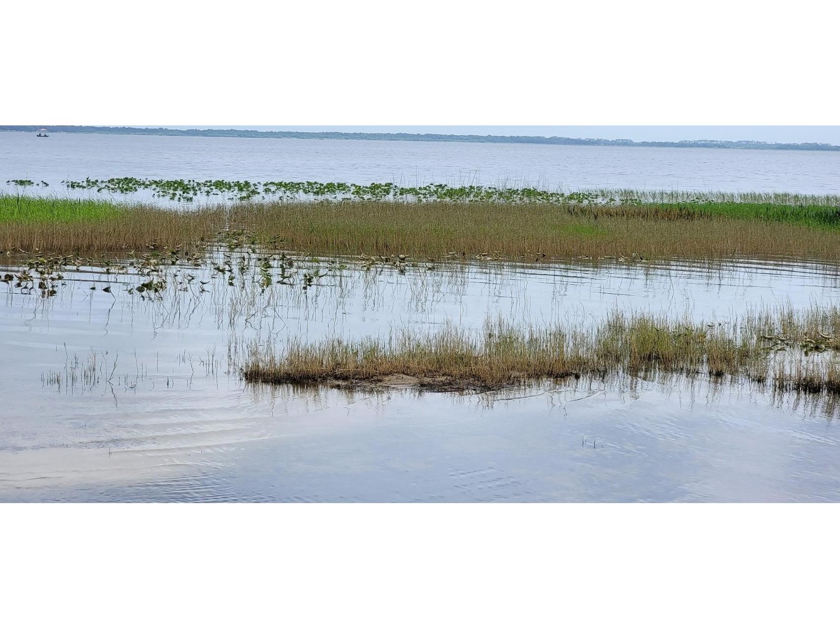 11196 Shore Drive Lake Wales FL 33898 - LAKE ROSALIE K4903114 image20