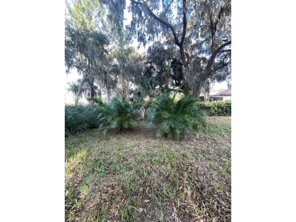 11196 Shore Drive Lake Wales FL 33898 - LAKE ROSALIE K4903114 image22