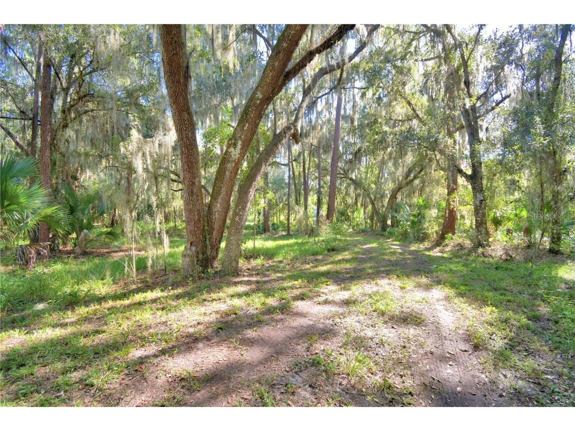 11196 Shore Drive Lake Wales FL 33898 - LAKE ROSALIE K4903114 image3