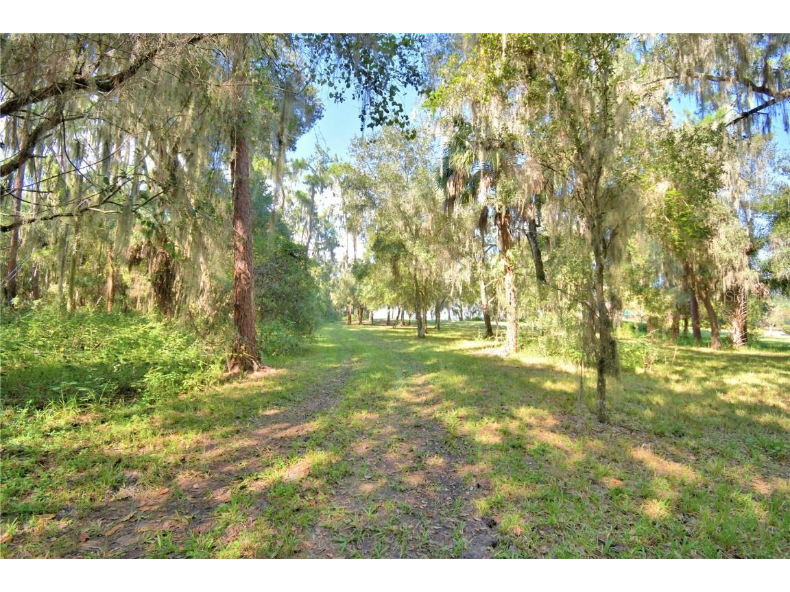 11196 Shore Drive Lake Wales FL 33898 - LAKE ROSALIE K4903114 image5