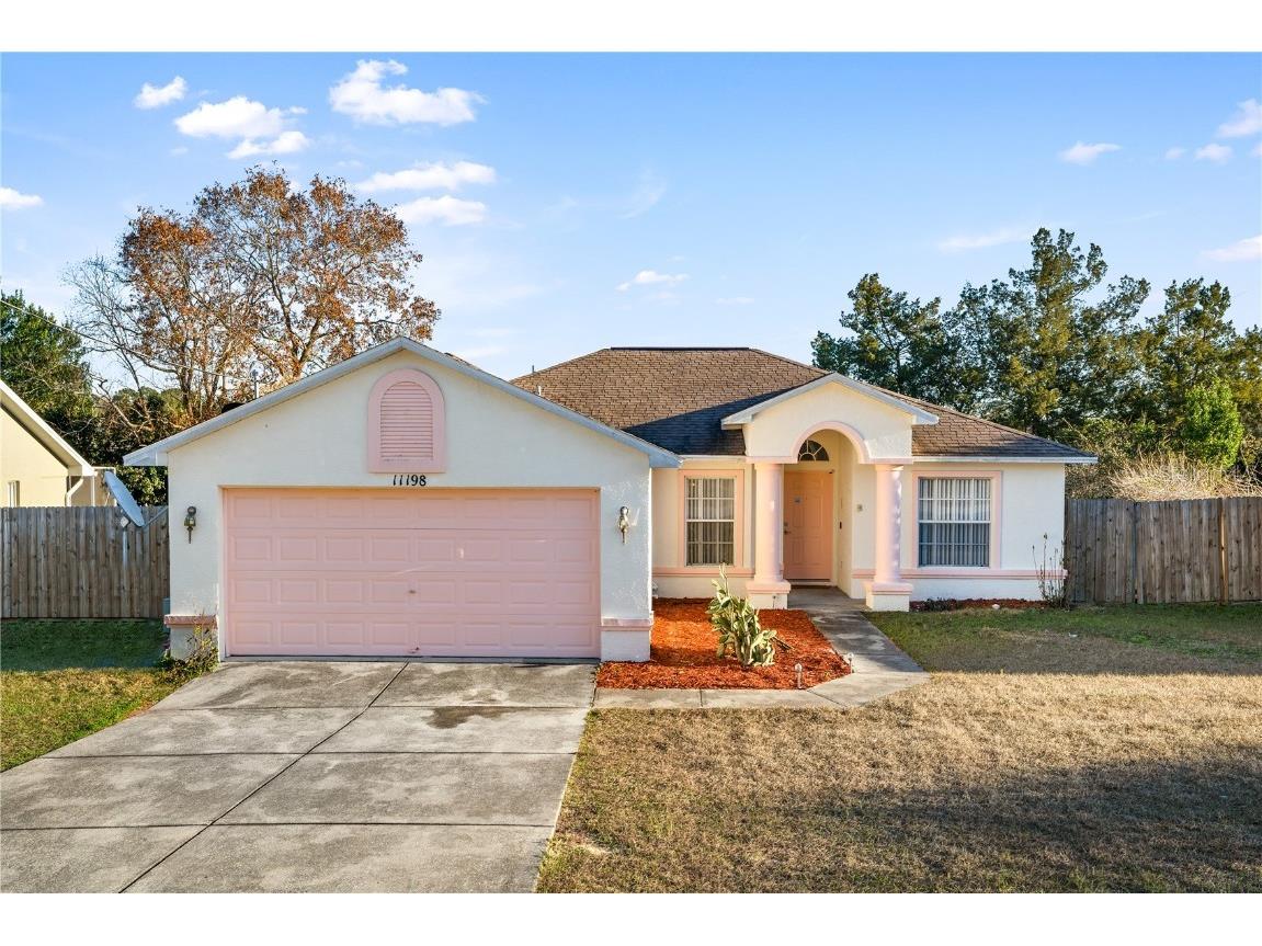 11198 Sedgefield Avenue Spring Hill FL 34608 T3423154 image1