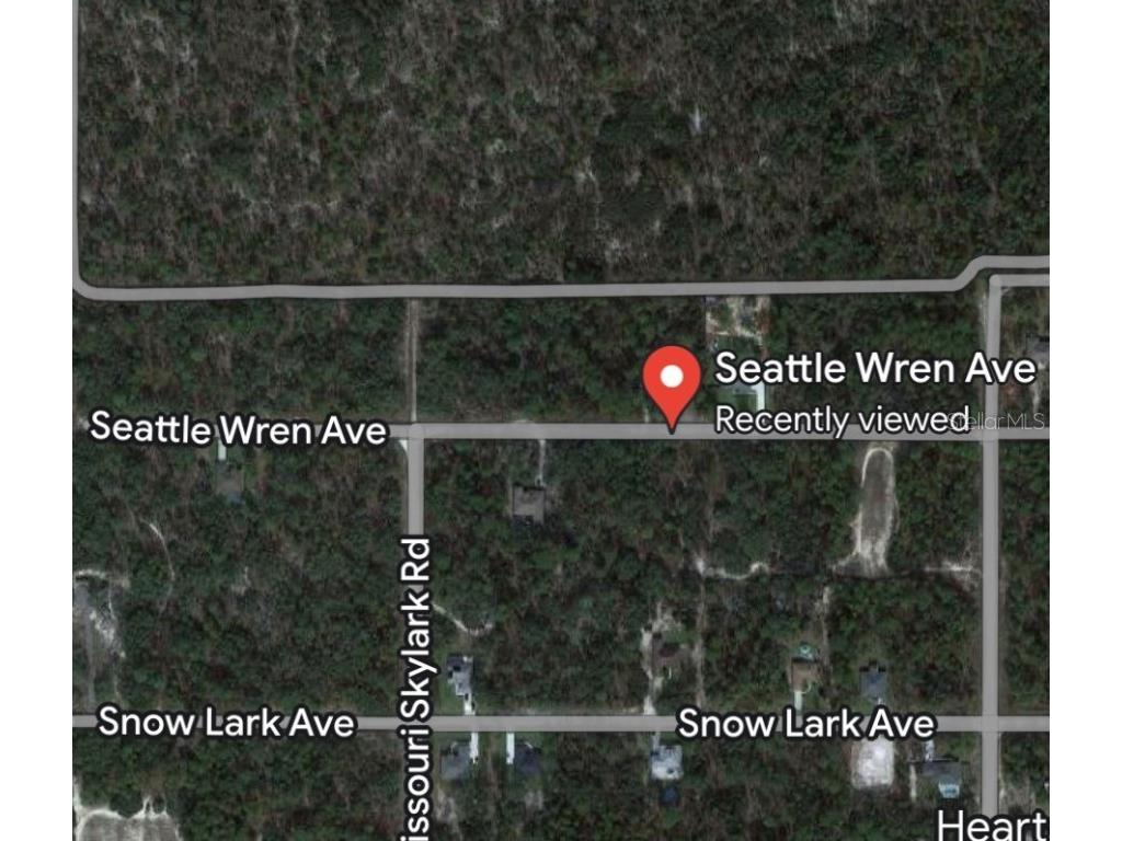 11199 Seattle Wren Avenue Weeki Wachee FL 34614 U8220361 image1