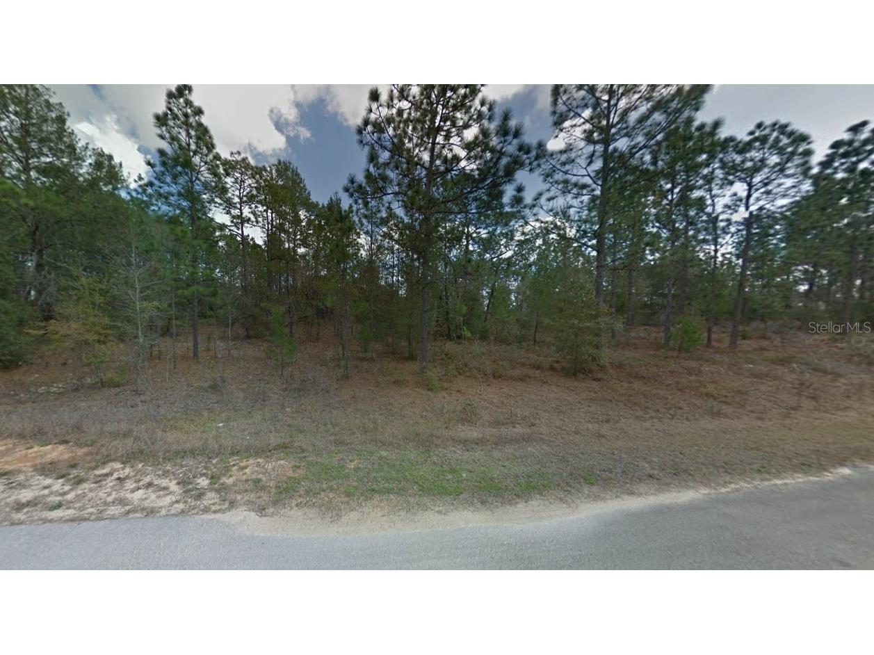 112 114 & 116 Paris Street Interlachen FL 32148 O6234020 image1